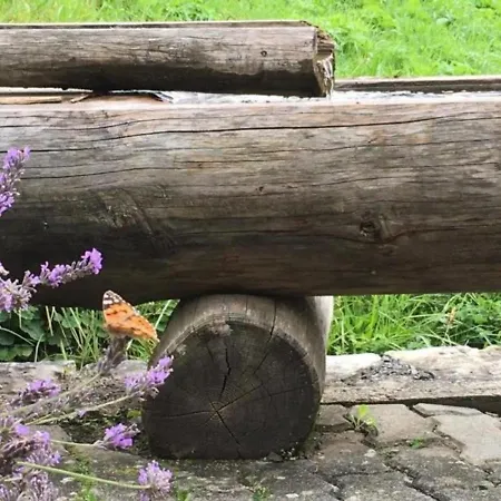 Lejlighed Bachsbort 14 4- Bett Parterre, Freie Sicht Auf Eiger Grindelwald