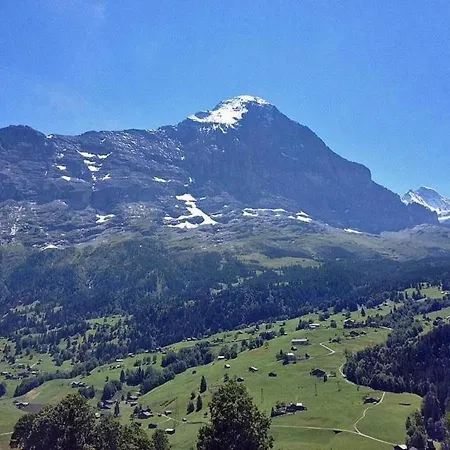 Bachsbort 14 4- Bett Parterre, Freie Sicht Auf Eiger Lejlighed