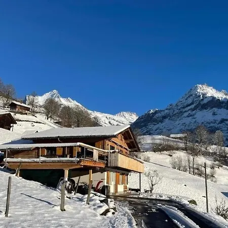 Lejlighed Bachsbort 14 4- Bett Parterre, Freie Sicht Auf Eiger Grindelwald