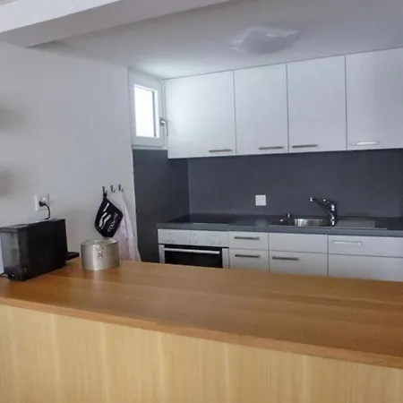 Bachsbort 14 4- Bett Parterre, Freie Sicht Auf Eiger Appartement Grindelwald