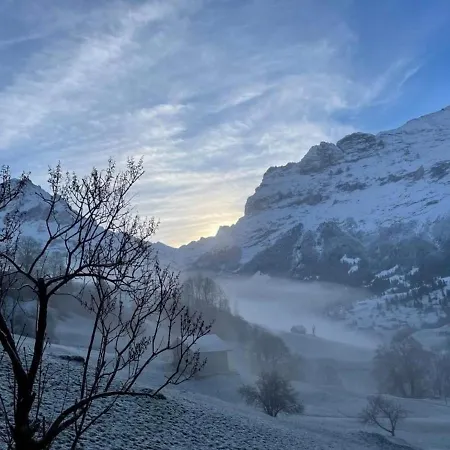 Bachsbort 14 4- Bett Parterre, Freie Sicht Auf Eiger Appartement Grindelwald